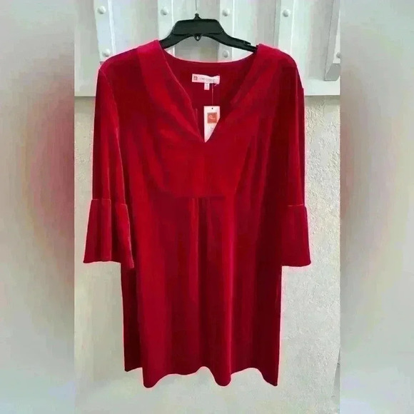 🍓NWT Jude Connally Rich Red Velvet Dress - Picture 5 of 9